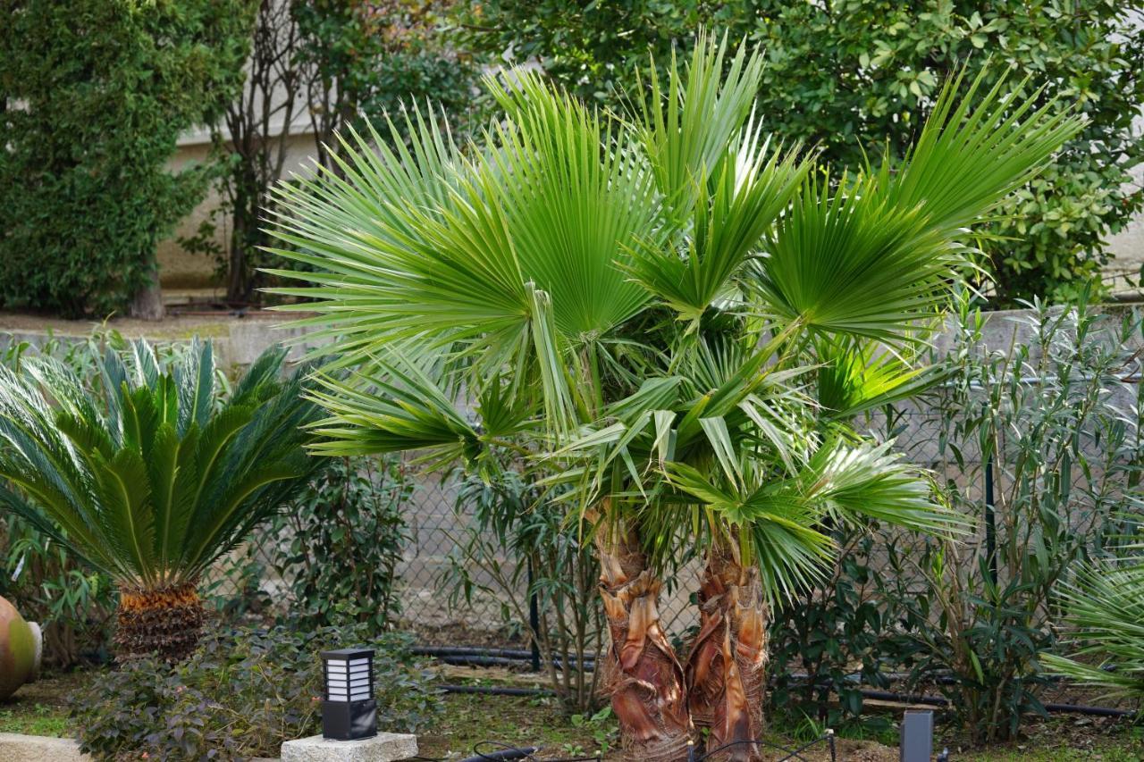 Villa Les Cades Sainte-Maxime Dış mekan fotoğraf