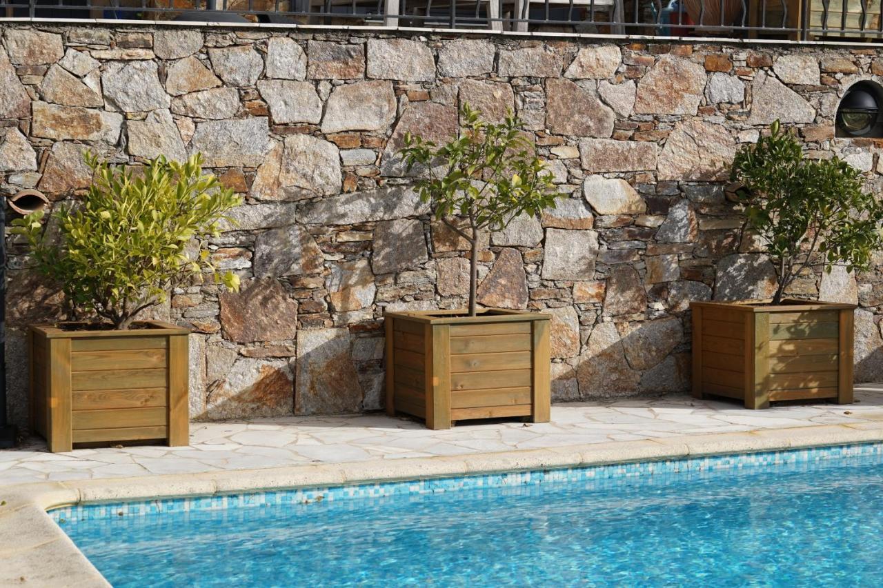 Villa Les Cades Sainte-Maxime Dış mekan fotoğraf