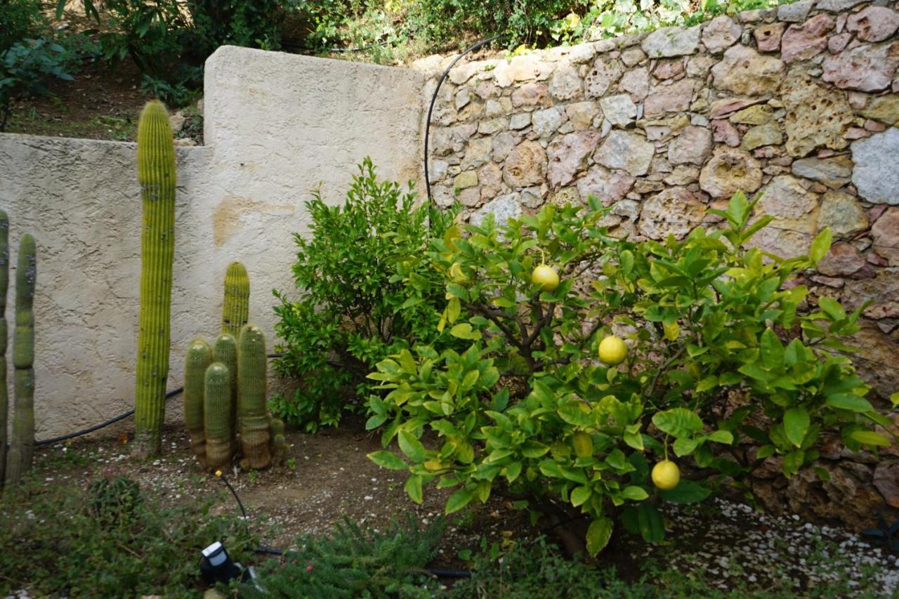 Villa Les Cades Sainte-Maxime Dış mekan fotoğraf